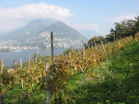 Tessin 070.jpg   41kb   26.03.2021 22:27:50